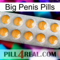 Big Penis Pills levitra1